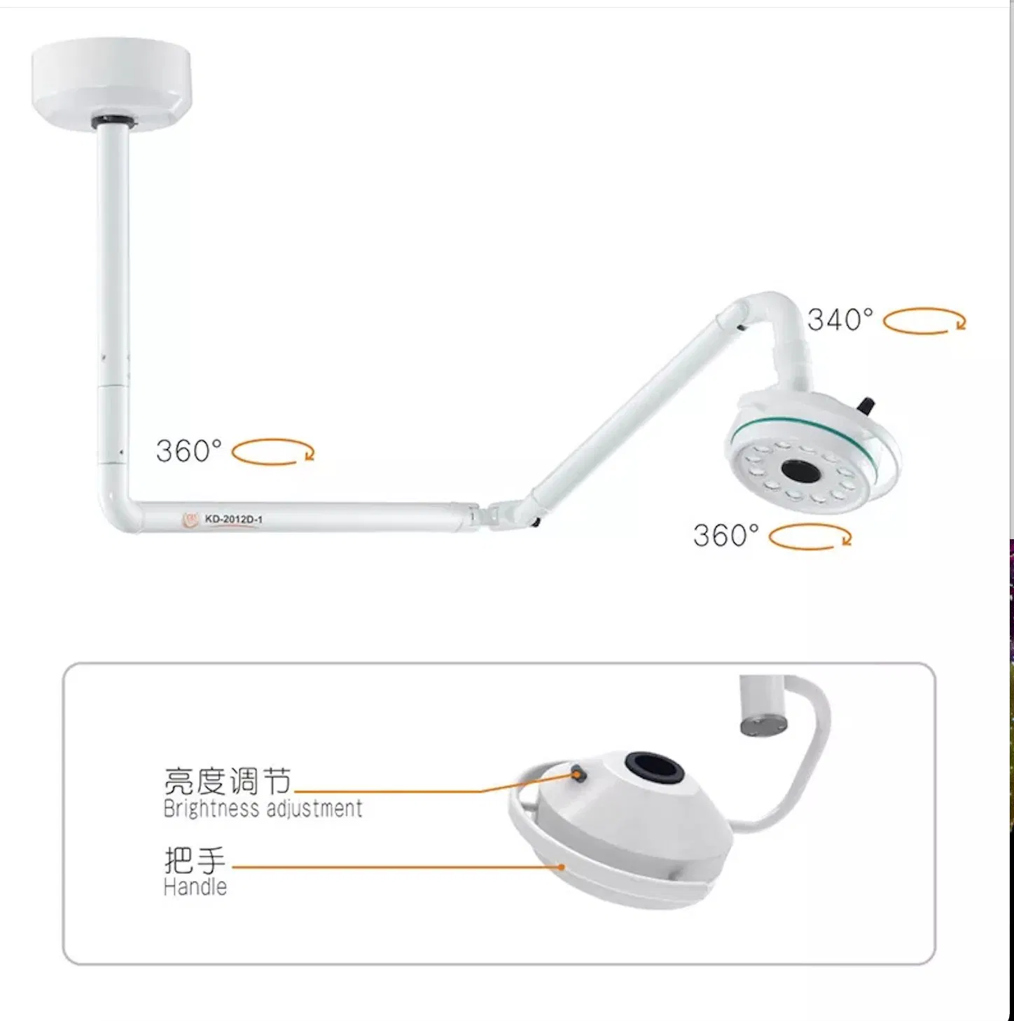 LED Veterinary Operating Lamp Infrared Operation Lamp Dental Examination Light