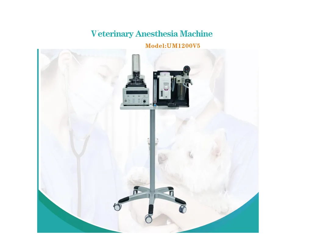 Veterinary Anesthesia Machine