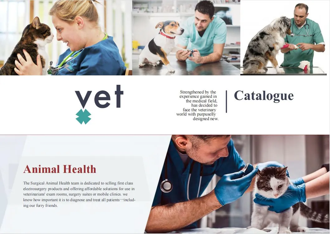 E500 Surgical Lamp View 1