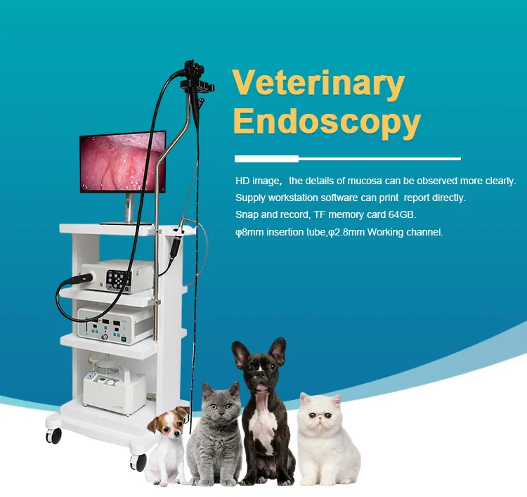 HD Endoscopic Camera System