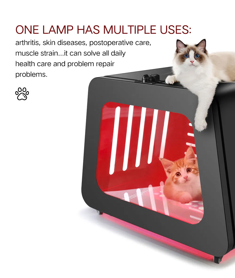 Azure PDT Infared Dog Ragdoll Cat Crate Red Light Therapy Health Device Pet Carrier Kennel Bed House Pet Cage