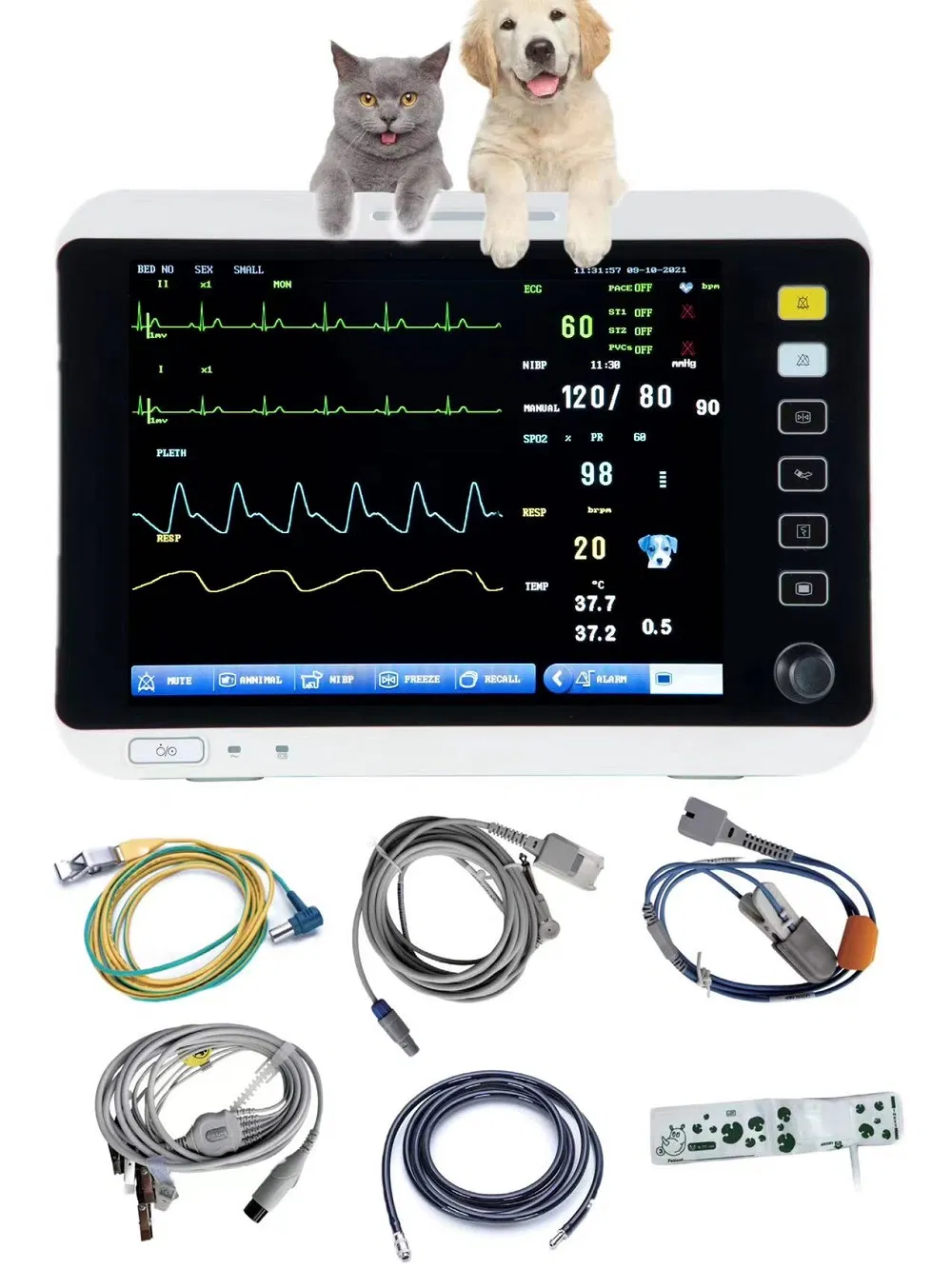 Advanced Veterinary Patient Monitor for Monitoring Multiple Animal Parameters