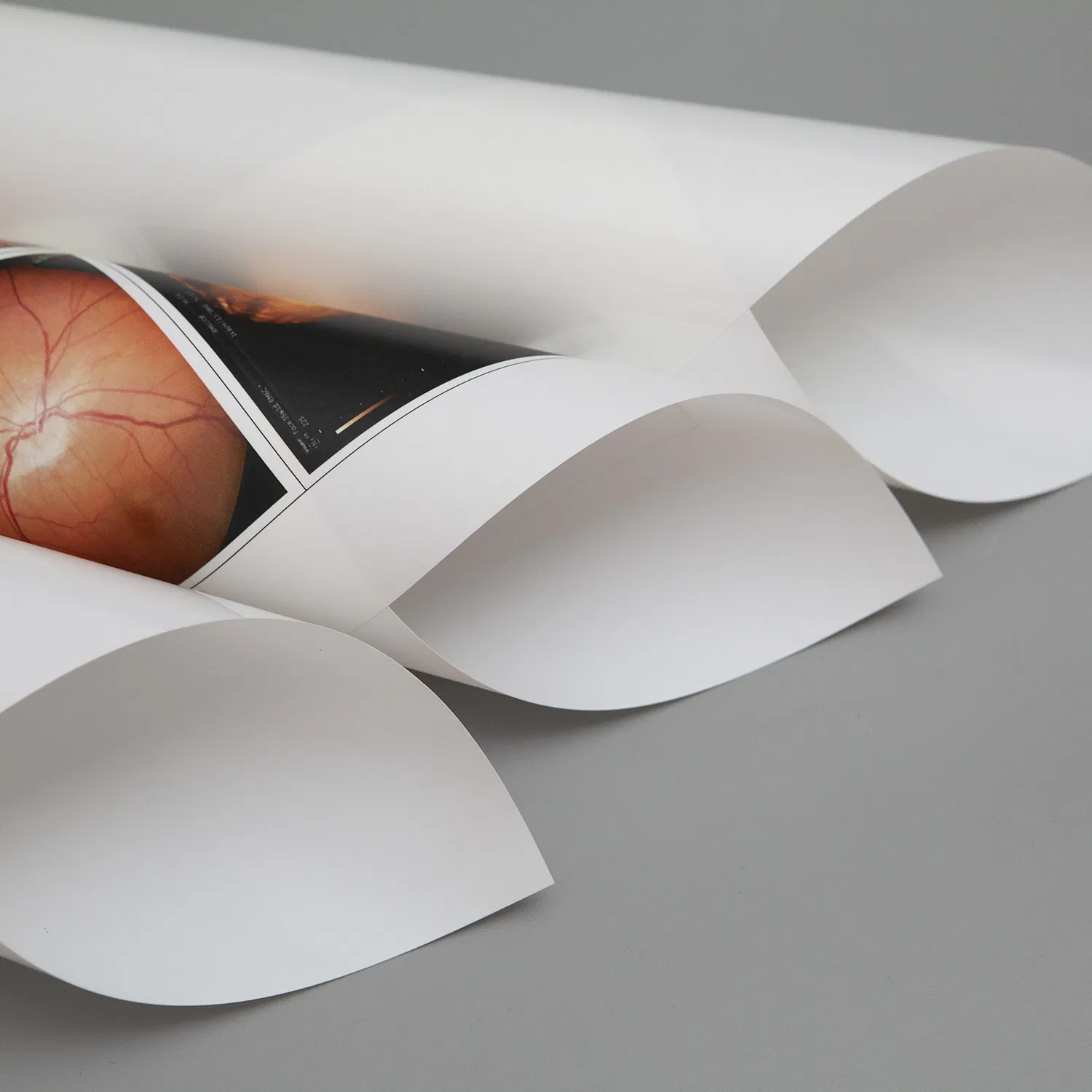 Digital Medical Imaging Reporting System for Ultrasound Endoscopy X-ray