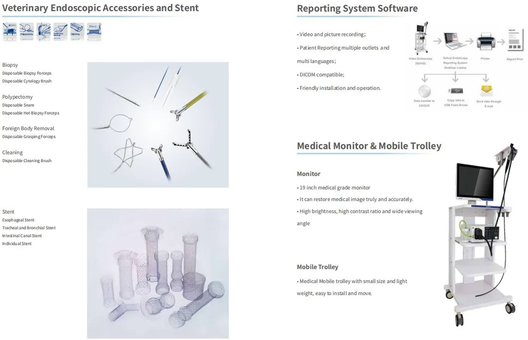 Endoscope System Diagram