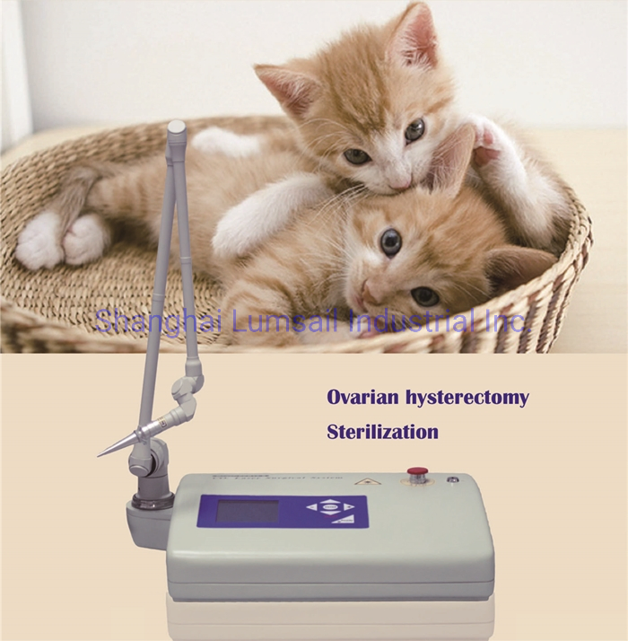 CO2 Laser Medical Instrument Veterinary Animal Surgical Laser Therapy Equipment