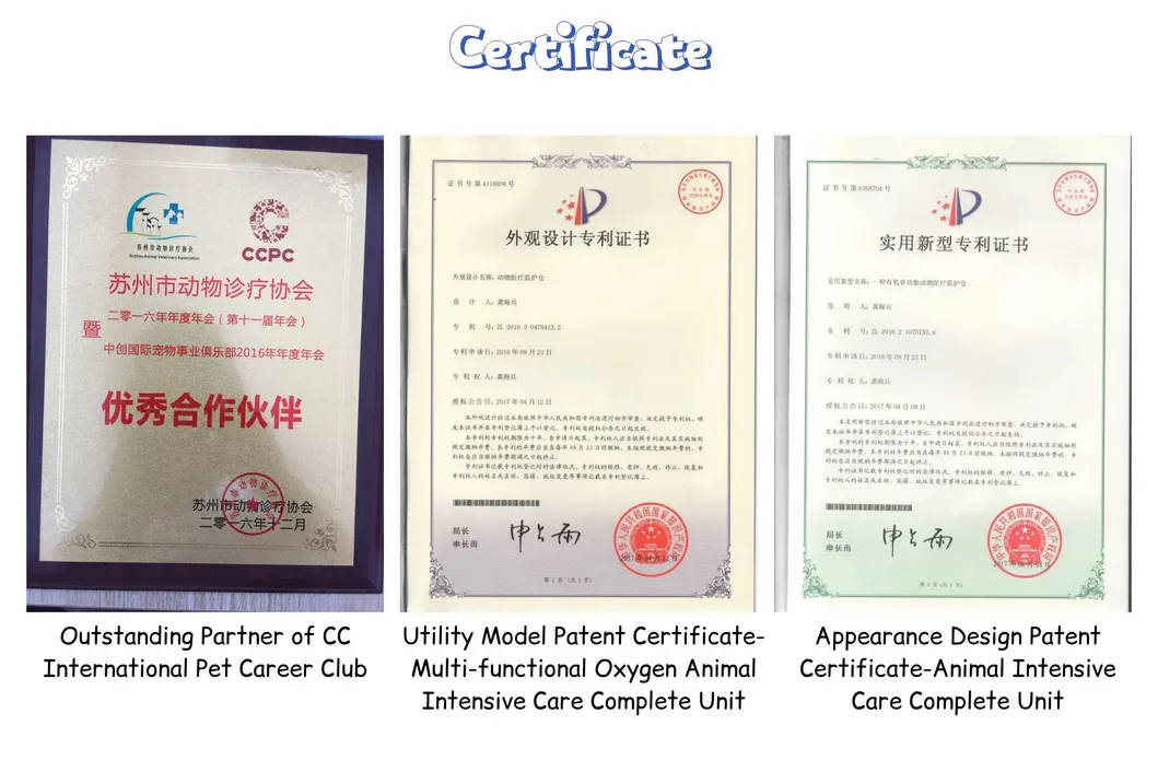 Veterinary Equipment Examination Table Stainless Steel Table with Scale