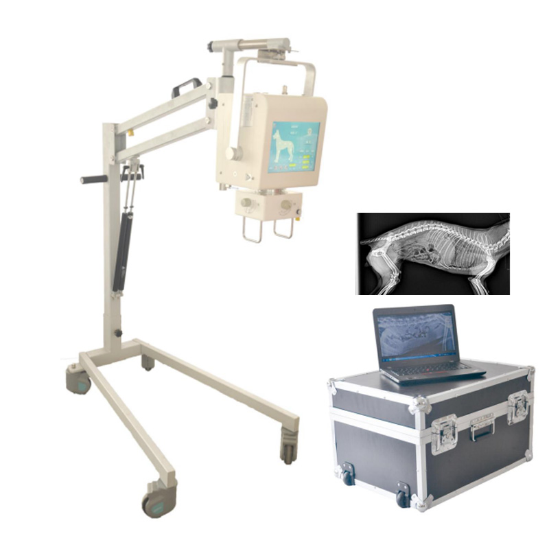 My-D019d Hospital Instrument Portable Digital X-ray System Medical Veterinary X Ray Equipment