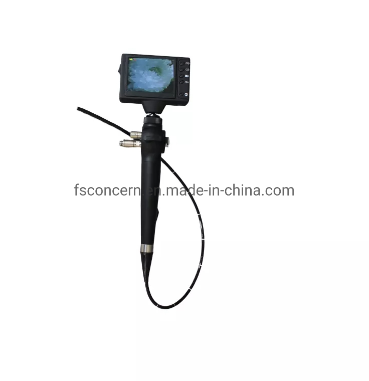 Medical Hot Selling Cc-En9BV Portable Flexible Veterinary Video Bronchoscope System