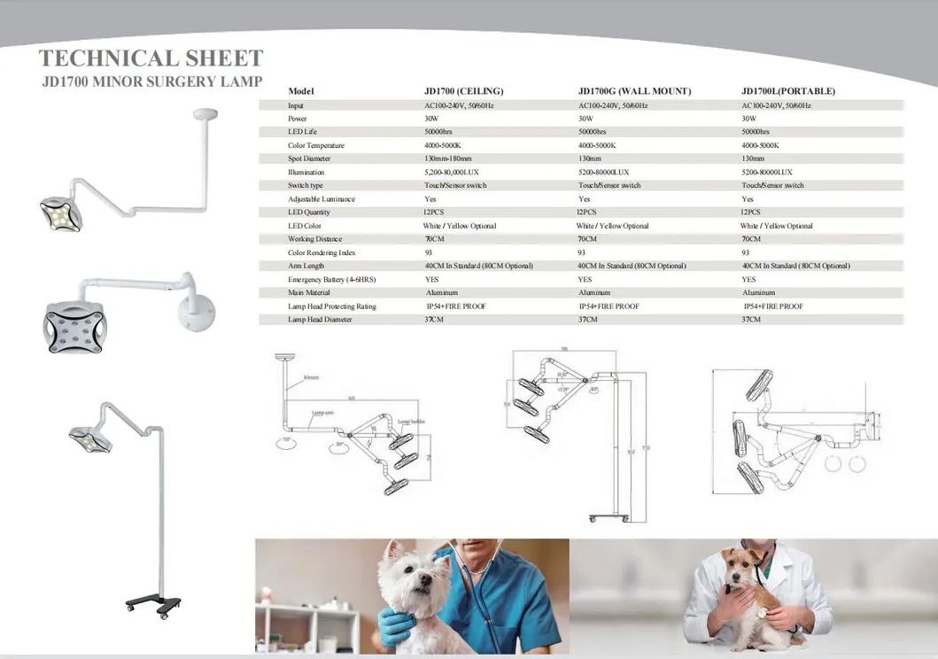 E500 Surgical Lamp View 4