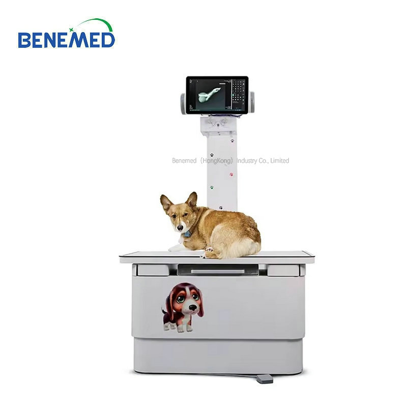 X-ray Equipment Pet Surgical Operating Veterinary X Ray Operation Table