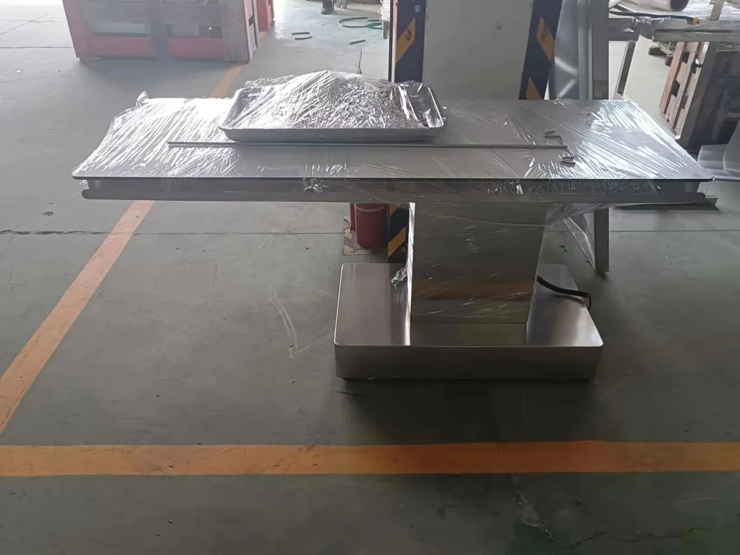 Electric Lifting Table