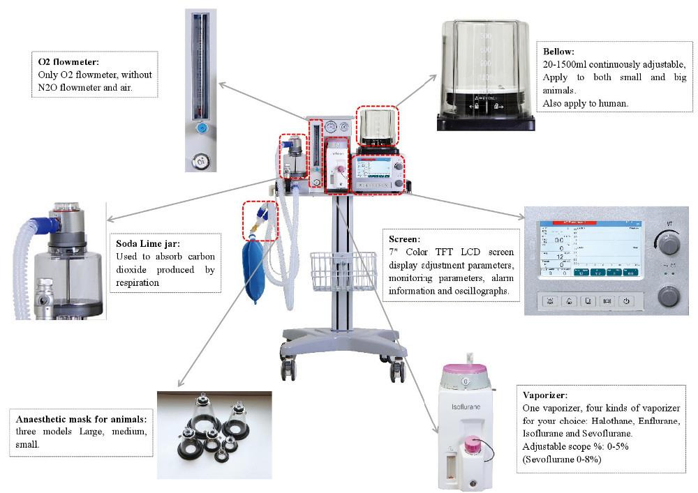 Medical Supplies Anesthesia Machine Veterinary Anesthesia Ventilator for Pet Surgical Breathing