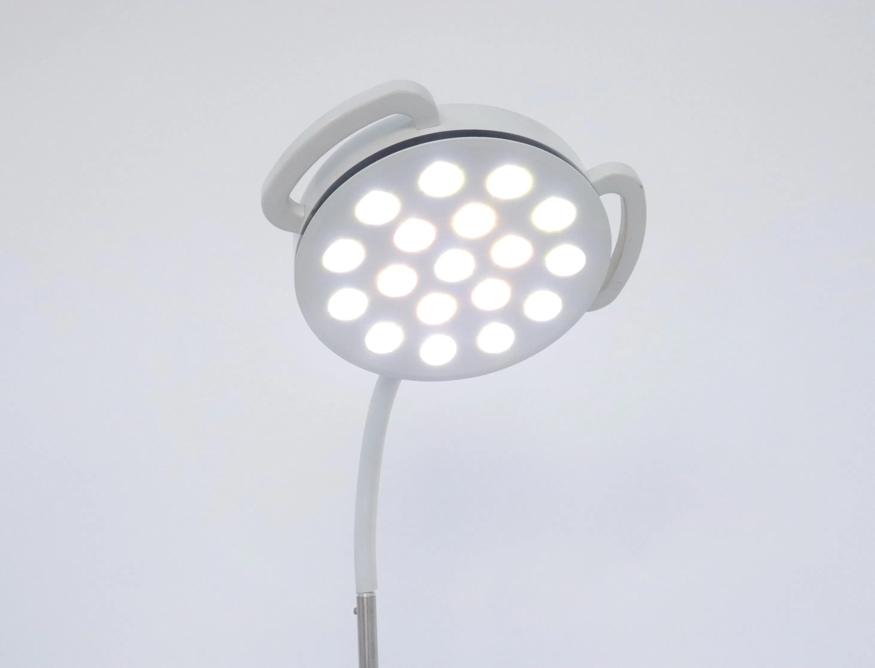 Examination LED Lamp Veterinary Examination Light for Pet Hospital or Clinic Surgical Operating Room Light