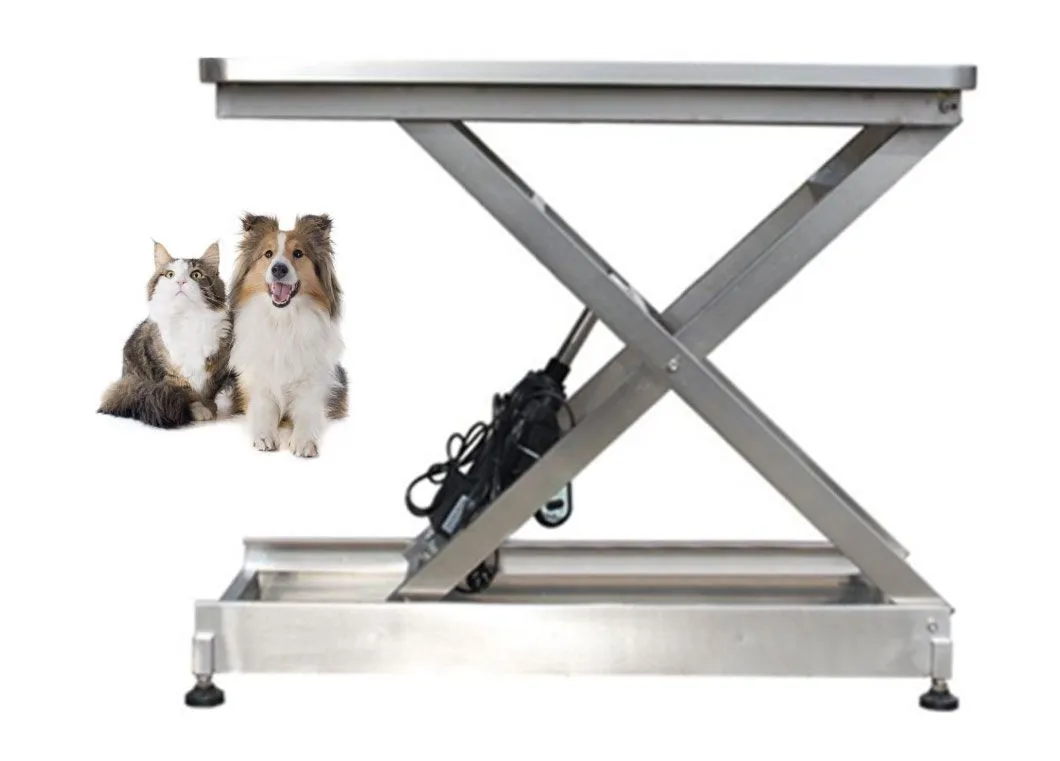 Veterinary Examination Table