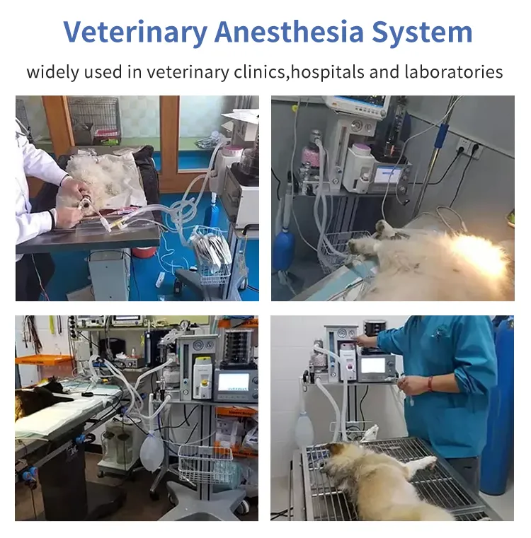 Veterinary Anesthesia Machine Details 7