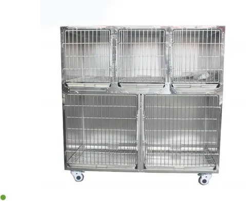 Pet Post-Surgery Recovery