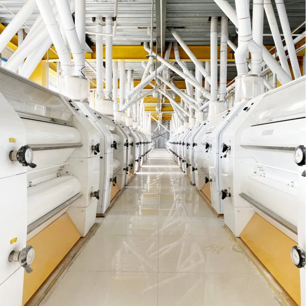 Innovative Laboratory Equipment for 320t Wheat Milling Plant