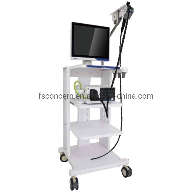 Medical Photoelectricity Endoscope Portable Versatile 1000/1500mm HD Veterinary Endoscopy System
