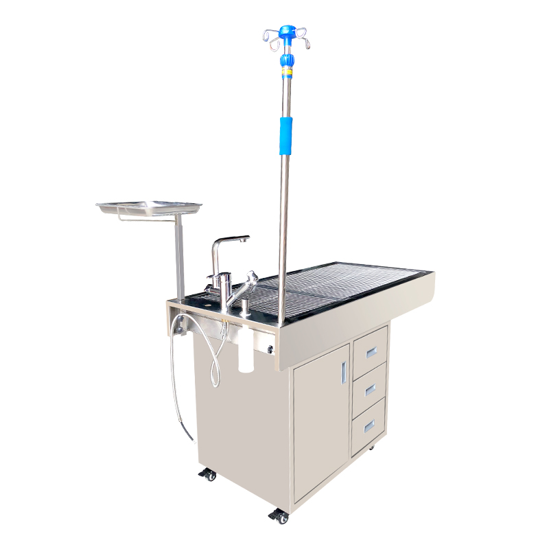 Pet Grooming Surgical Operating Veterinary Dental Work Medical Treatment Animal Examination Table