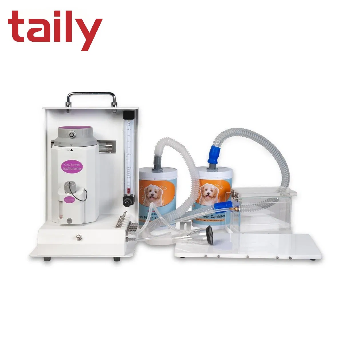 Laboratory Animal Veterinary Anesthesia Machine with Six-Channel Breathing Circuits