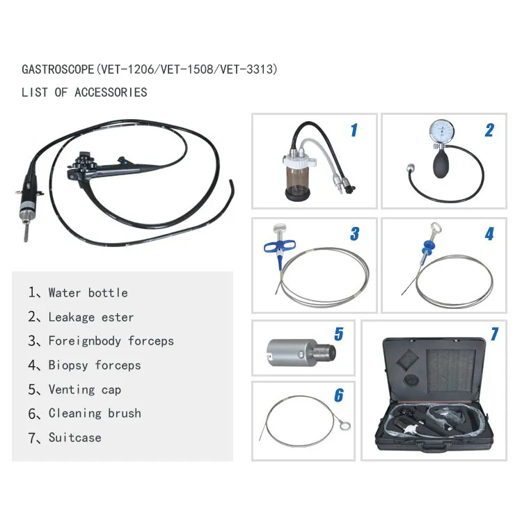 Endoscopy System Detail 5
