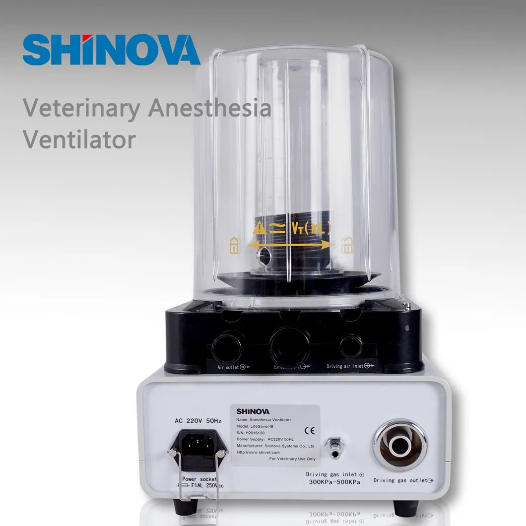 Ventilator Interface