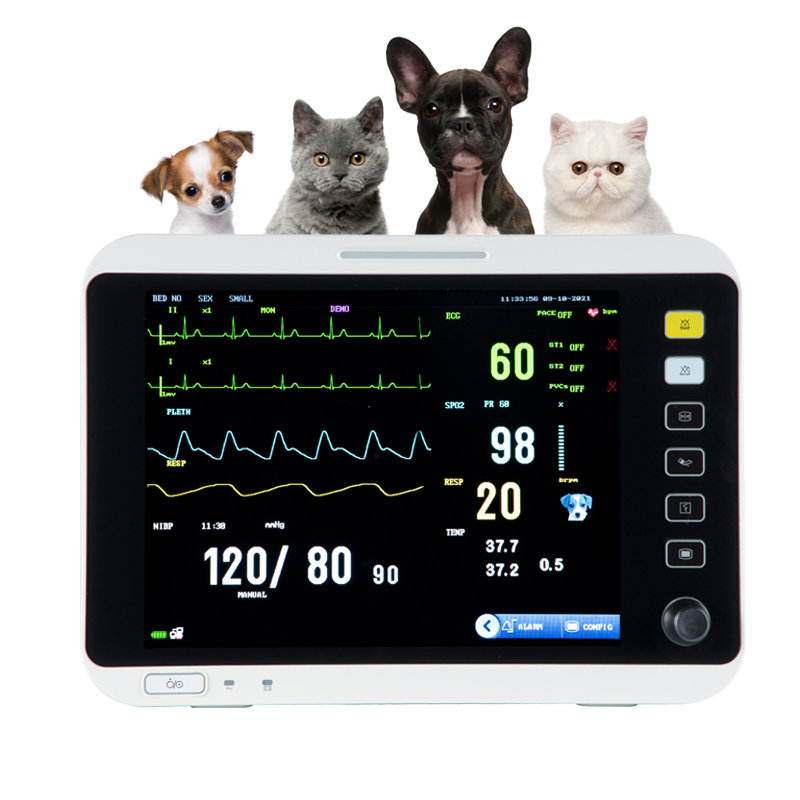 Soymed Patient Monitor Cheap Price Patient Monitor Veterinary Parameter Use for Animal Hospital