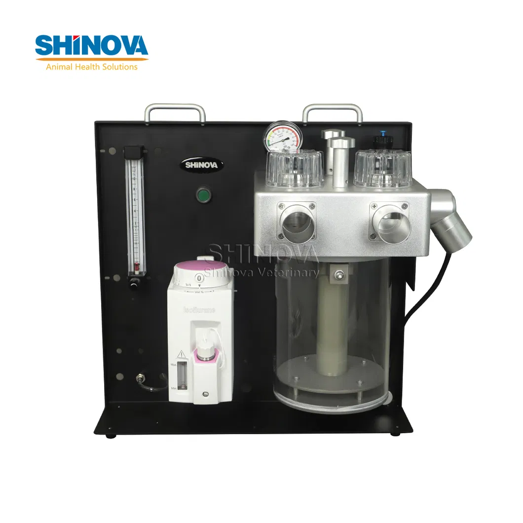 Large Animal Anesthesia Machine