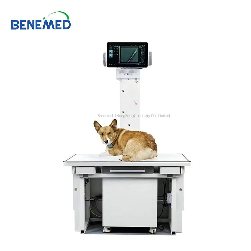 X-ray Equipment Pet Surgical Operating Veterinary X Ray Operation Table