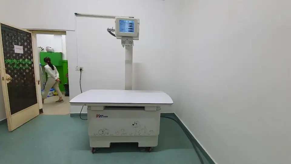 Vet Digital Radiography System Veterinary X-ray Equipment Medical Animal X Ray Equipment