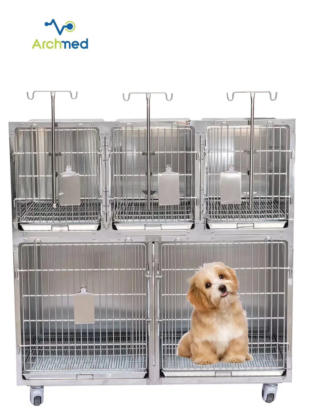 Veterinary Cages