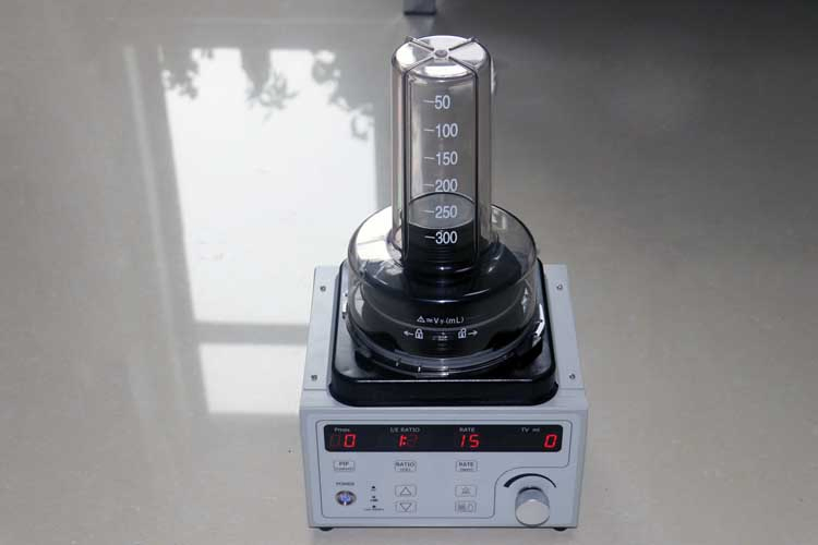 Portable Veterinary Anesthesia Ventilator Machine for Big and Small Animal