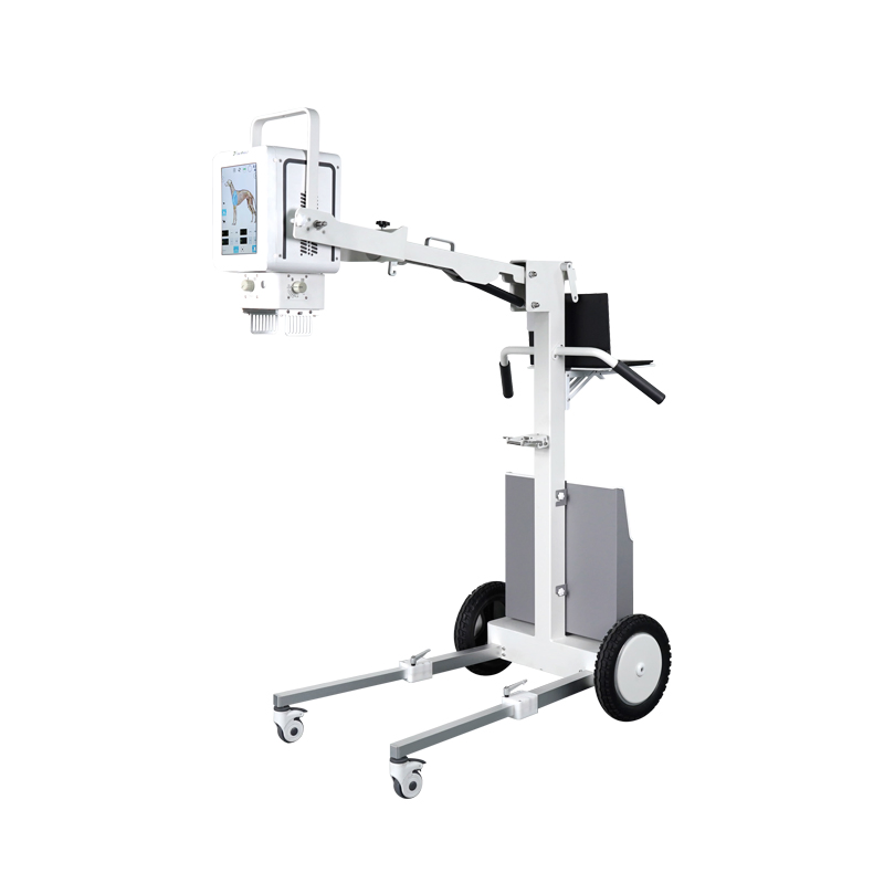 Medical Device Ysenmed Ysx100-PE Veterinary Equipment Dr Digital X Ray Unit with Flat Panel Detector
