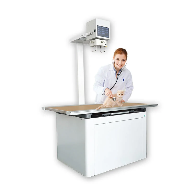 High Quality Steel X-ray Machine for Veterinary Hospitals Electric Pet Animal Health Equipment