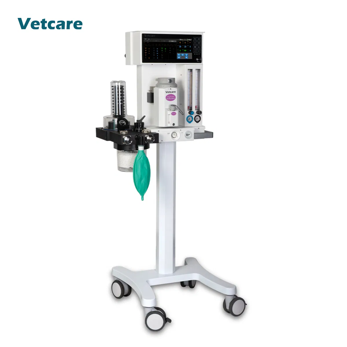 Pets, Laboratory Onlyveterinary Hospitals Labs and Animal Clinics High-Quantity a-200 Anesthesia Machine