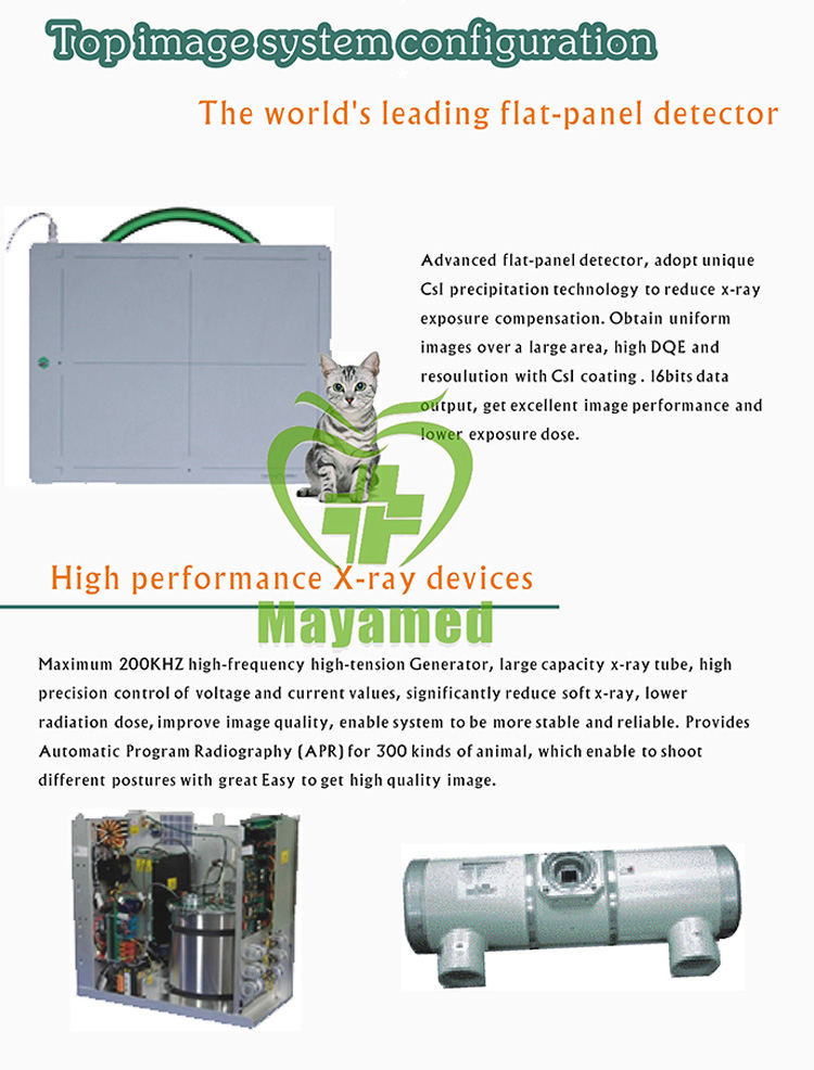 Veterinary Xray Machine Digital Radiography Mobile Animal Hospital Prices Radiography Equipment