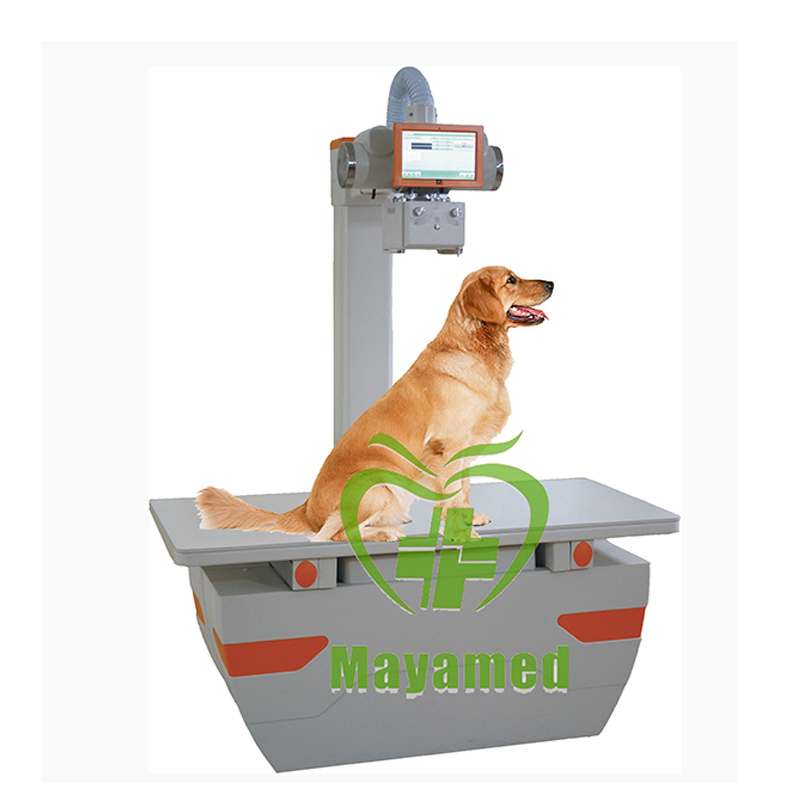 Veterinary Xray Machine Digital Radiography Mobile Animal Hospital Prices Radiography Equipment
