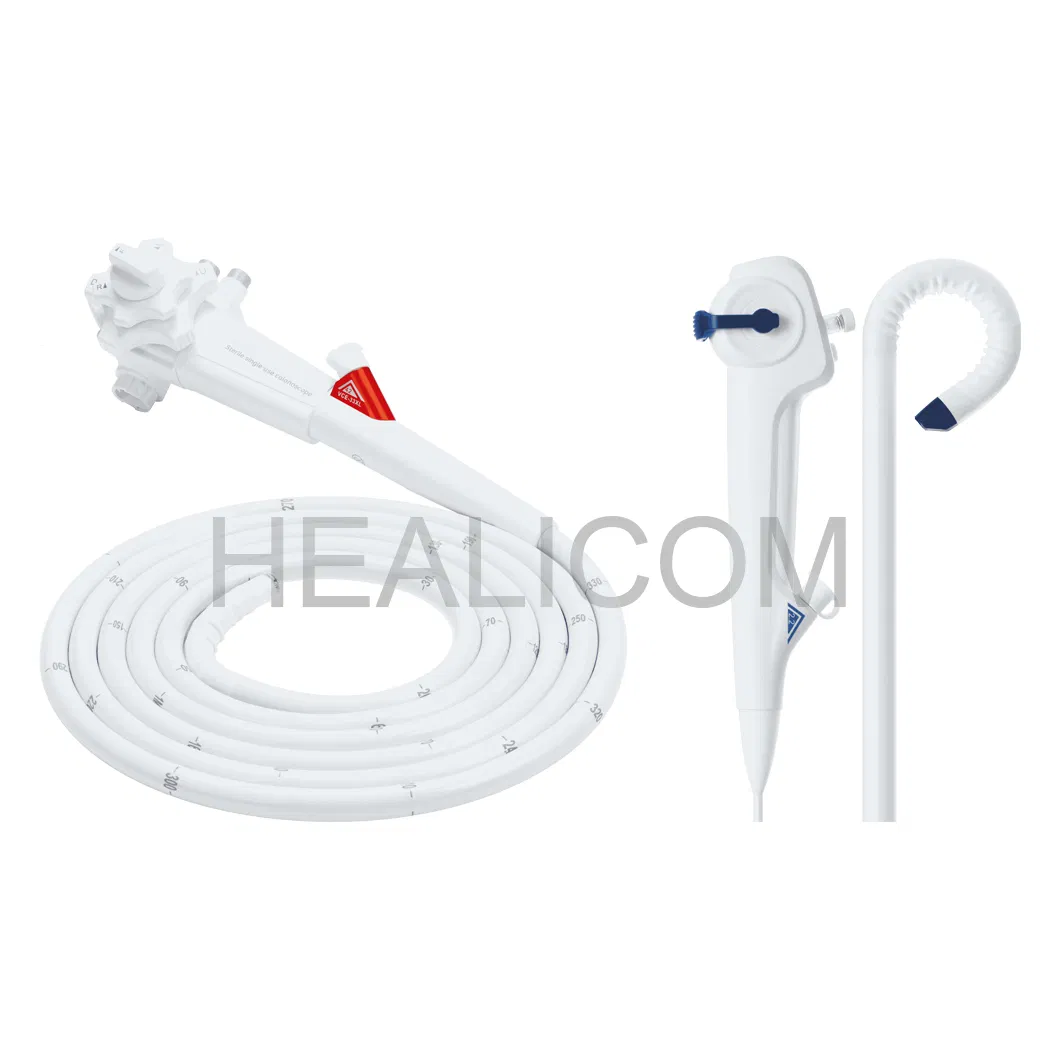 Pet Hospital 10-Inch Display Portable Veterinary Endoscopy System