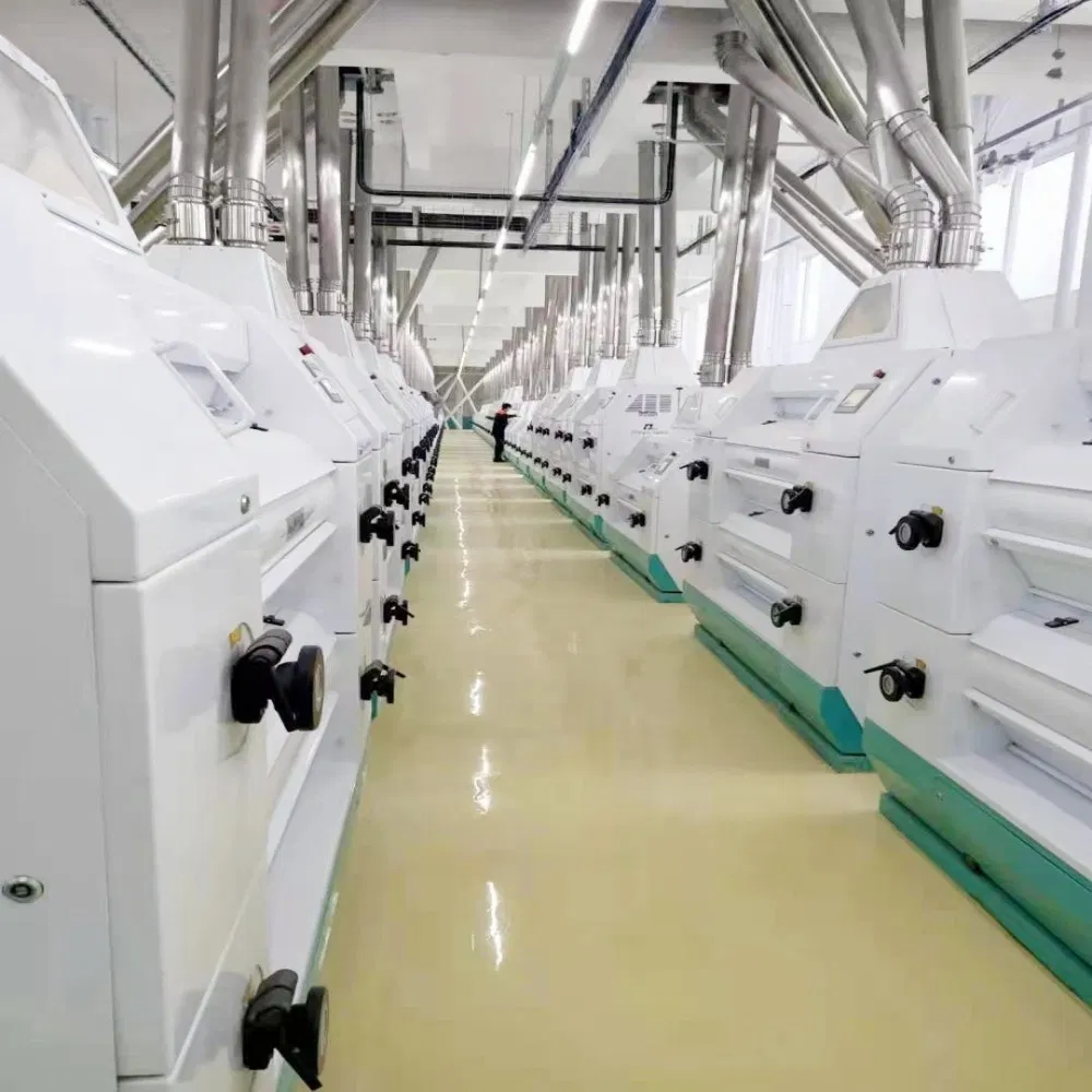 Innovative Laboratory Equipment for 320t Wheat Milling Plant