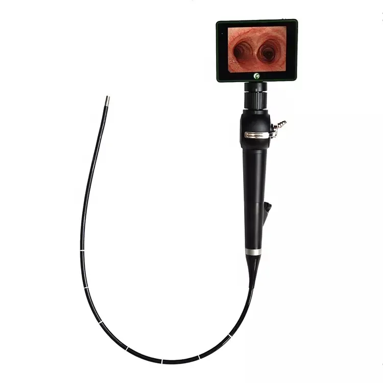 Veterinary Video Bronchoscope