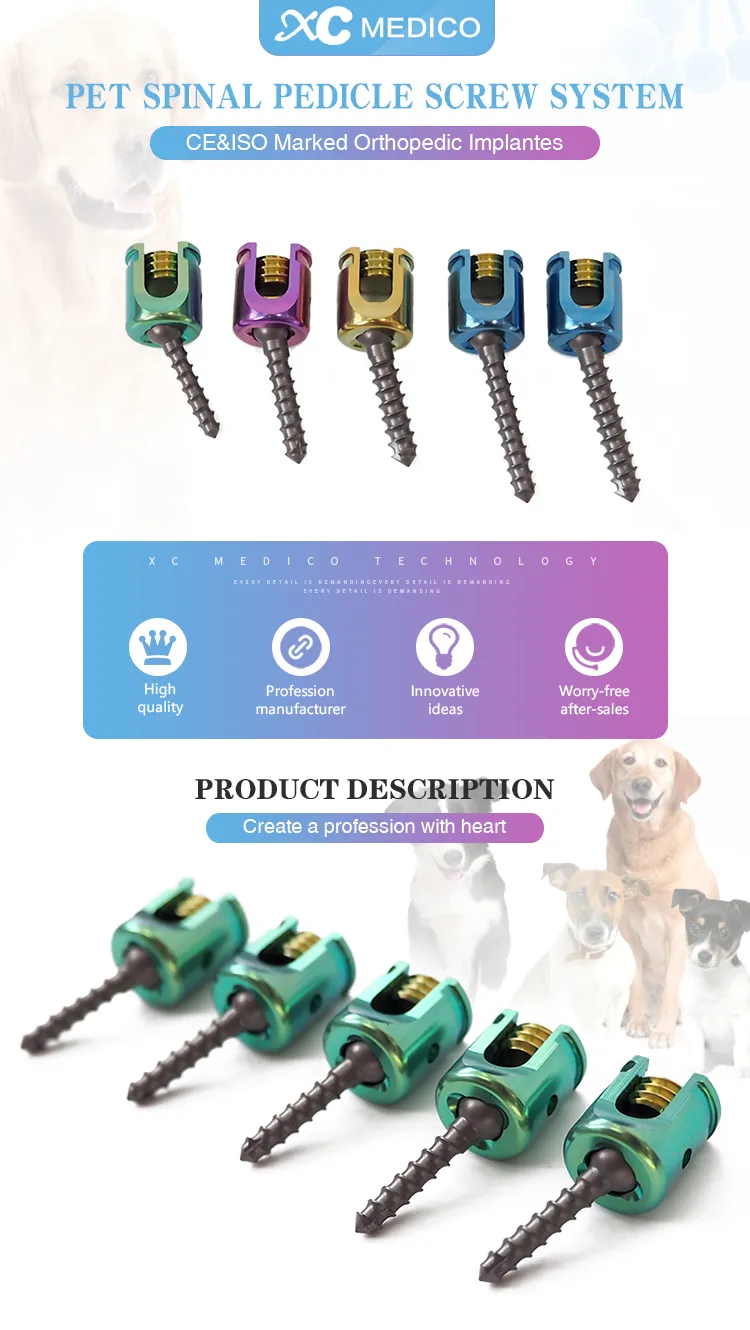 Spine Pedicle Screw System
