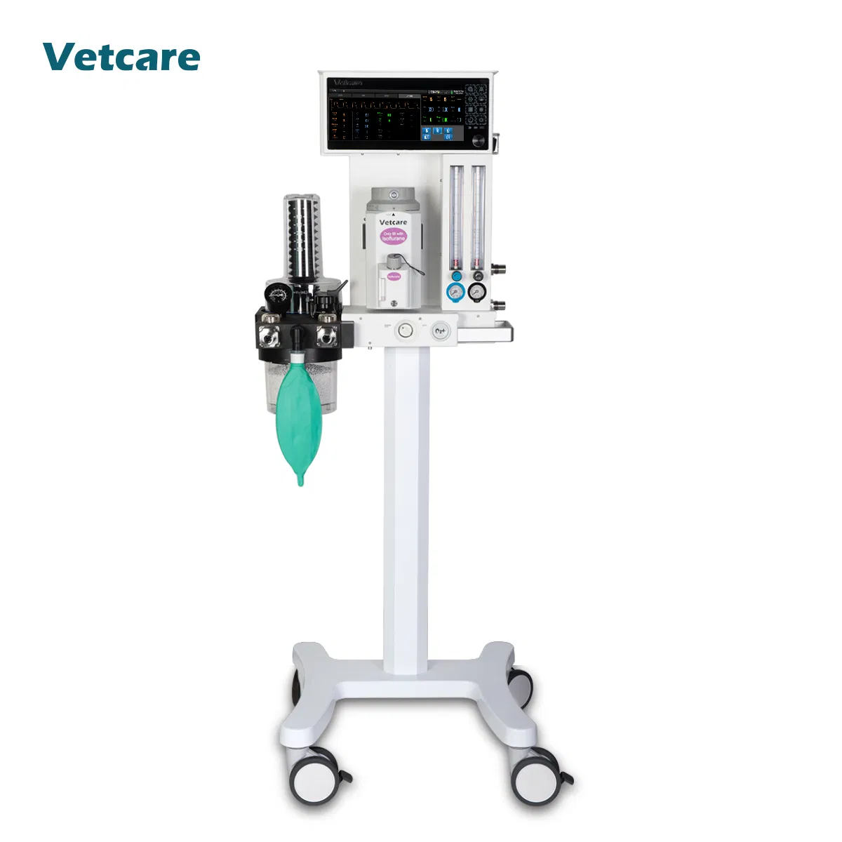 Pets, Laboratory Onlyveterinary Hospitals Labs and Animal Clinics High-Quantity a-200 Anesthesia Machine