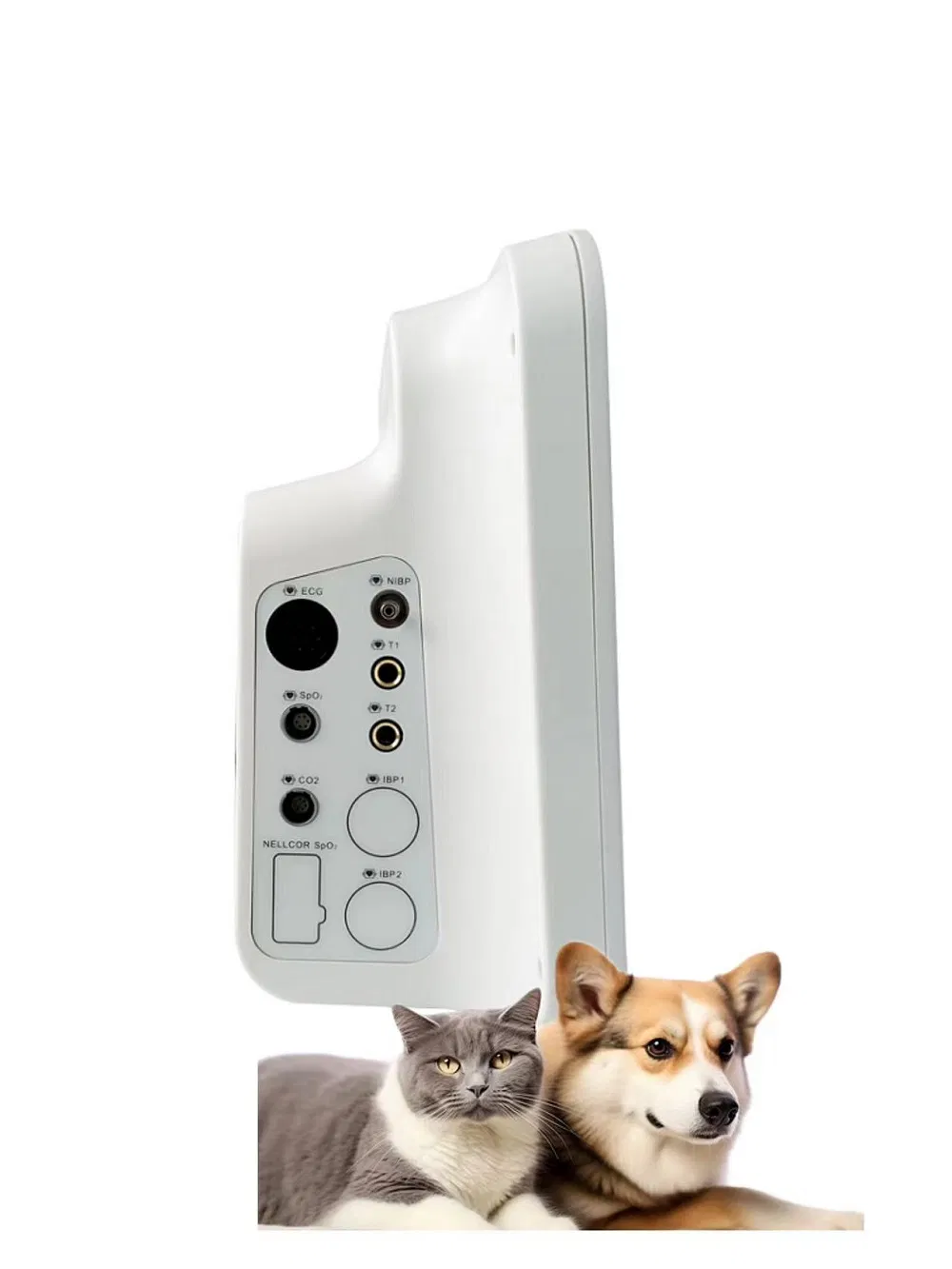 Advanced Veterinary Patient Monitor for Monitoring Multiple Animal Parameters