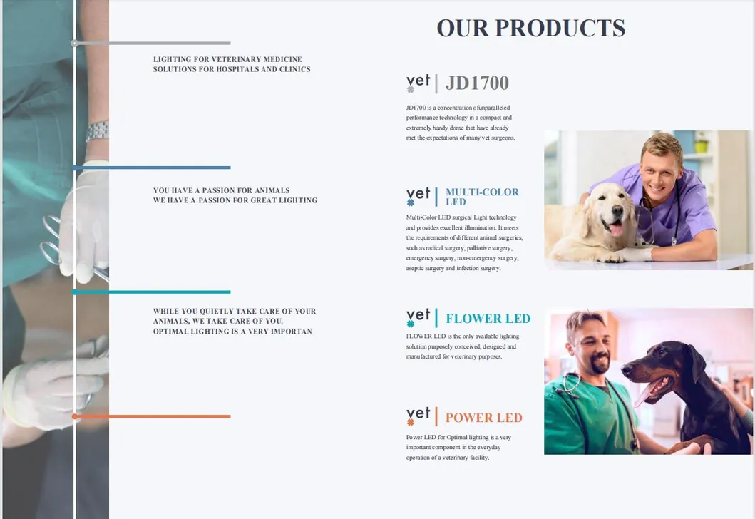 E500 Surgical Lamp View 2