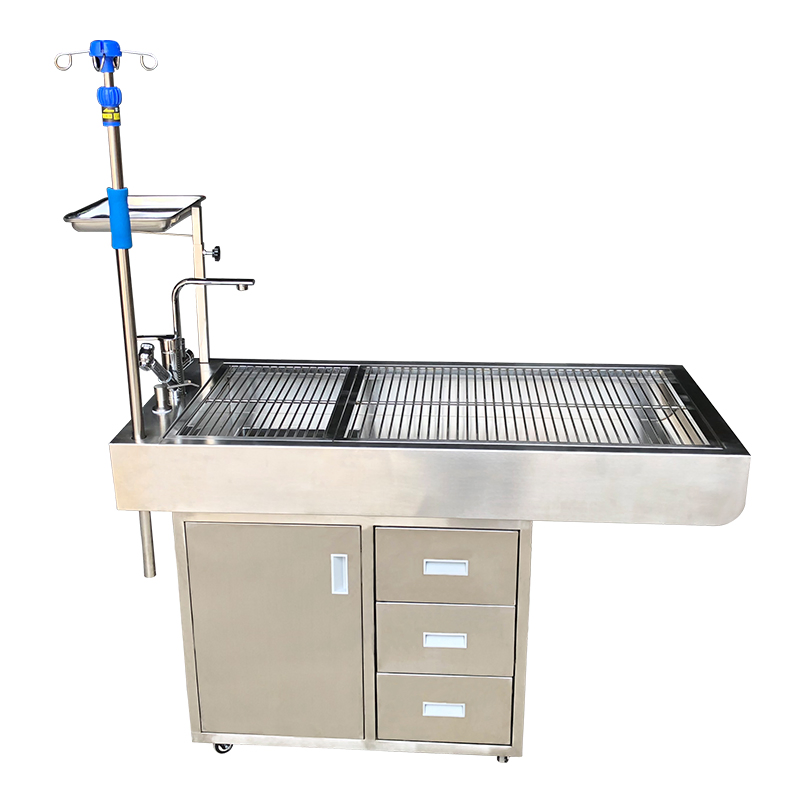Pet Grooming Surgical Operating Veterinary Dental Work Medical Treatment Animal Examination Table