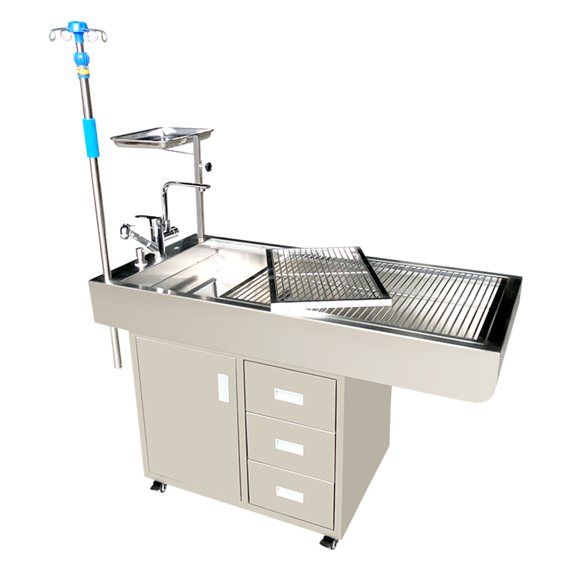 Pet Grooming Surgical Operating Veterinary Dental Work Medical Treatment Animal Examination Table