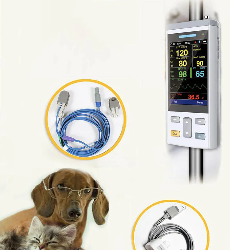 SpO2 Monitor Interface