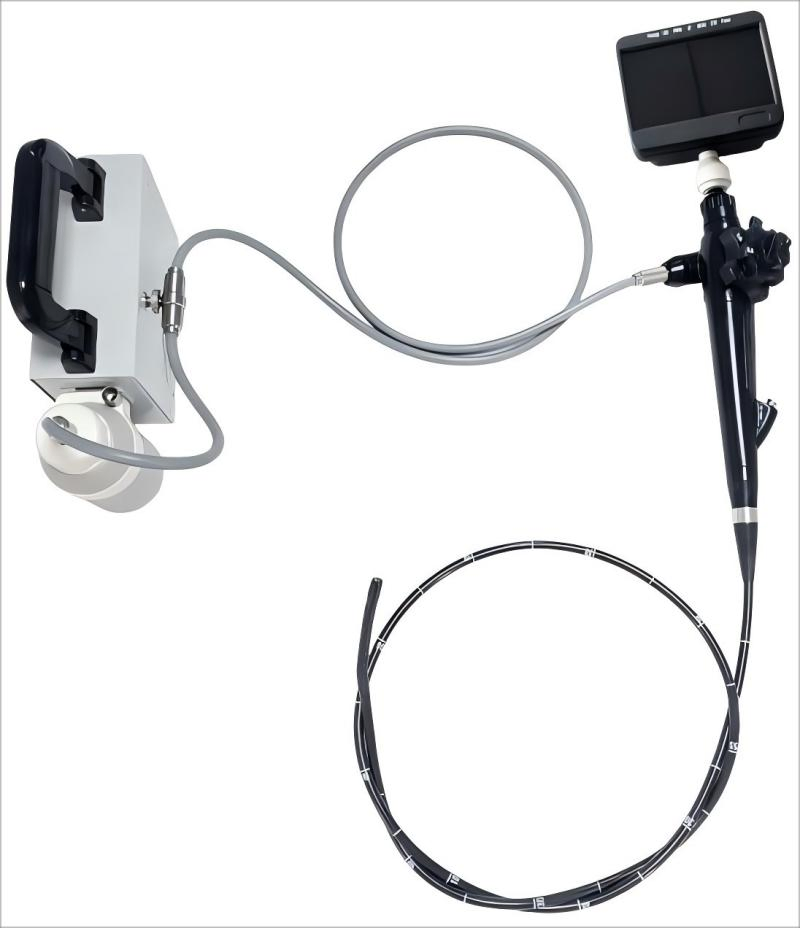 Veterinary Multifunctional HD Portable Gastroscope Excellent Pet Handheld Endoscope System