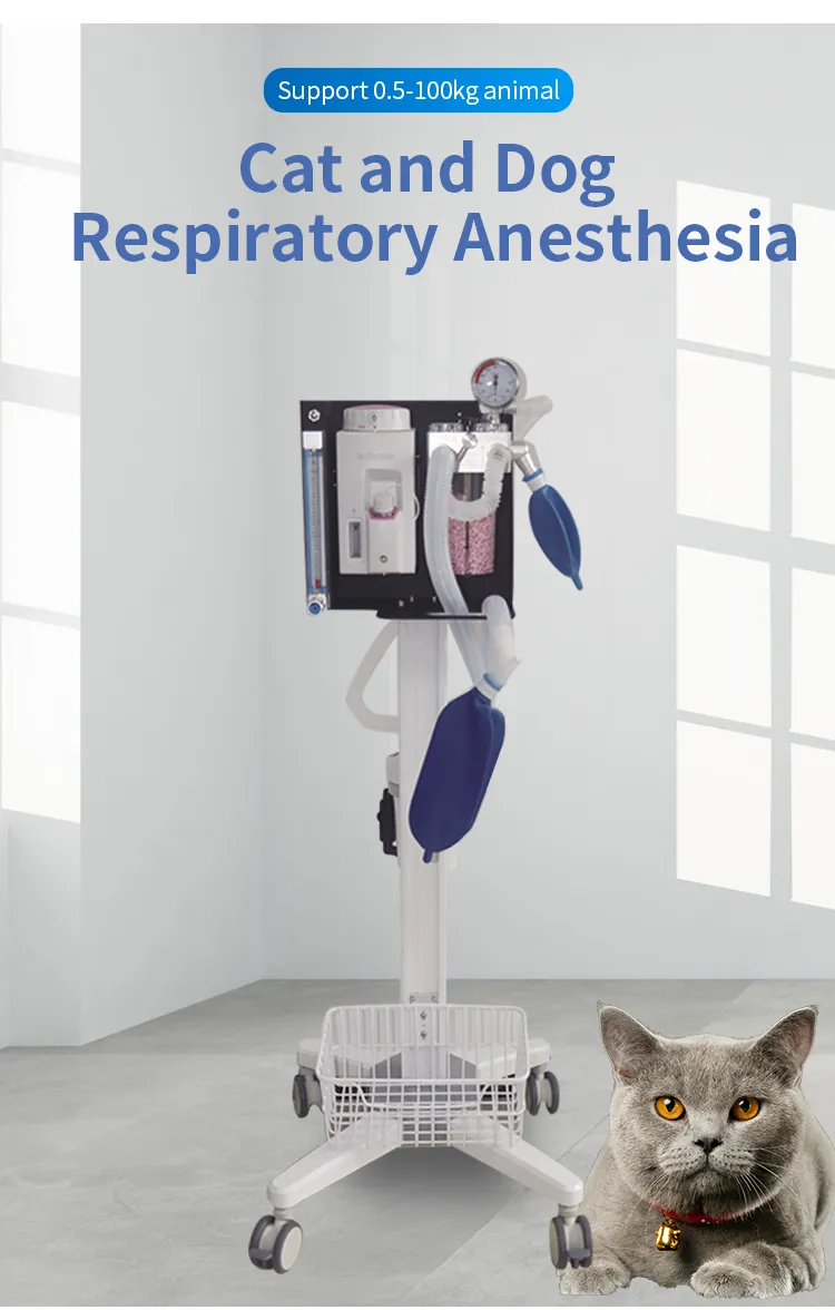 Veterinary Anesthesia Machine Details 2