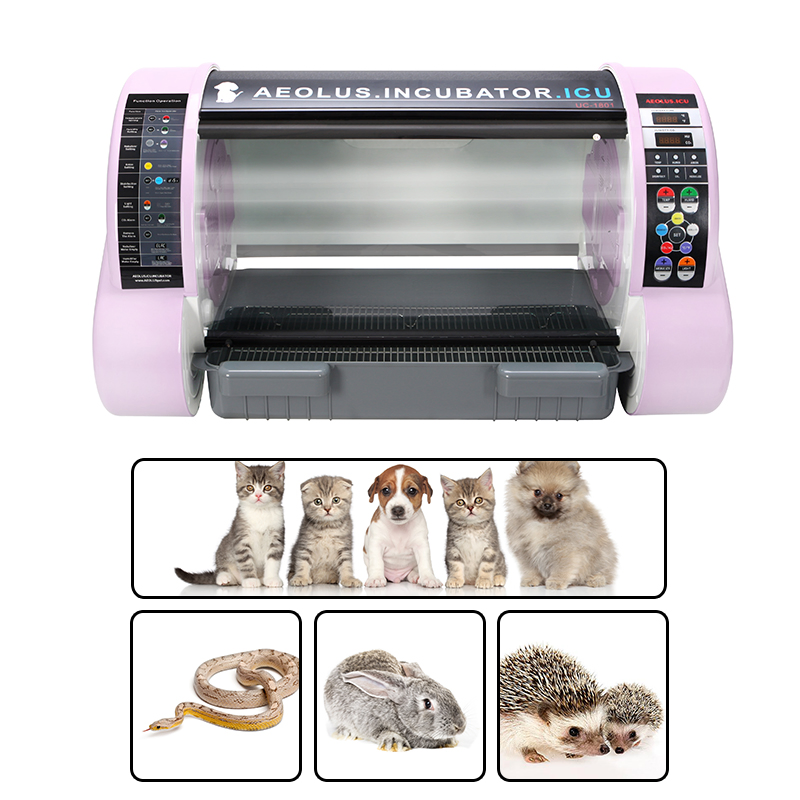 Veterinary Medical ICU Incubator Equipment Puppy Dog Puppy Pet Incubator